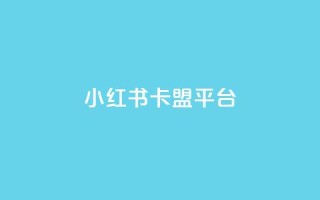 小红书卡盟平台 - 小红书卡盟平台深度解析与最新发展趋势~