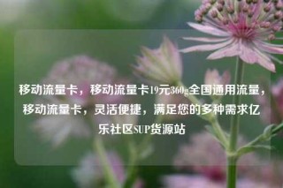 移动流量卡，移动流量卡19元360g全国通用流量，移动流量卡，灵活便捷，满足您的多种需求亿乐社区SUP货源站
