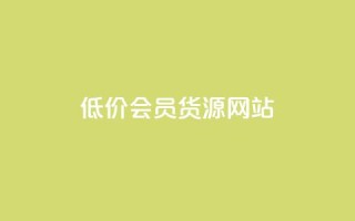 低价vip会员货源网站,抖音如何养号快速涨粉 - ks账号 - 快手一分钱一万个播放工具
