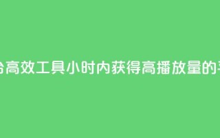 24小时播放量平台 - 高效工具：24小时内获得高播放量的平台推荐~