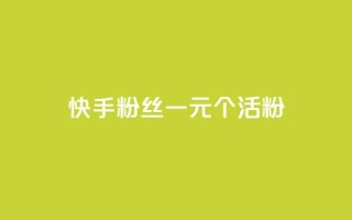快手粉丝一元1000个活粉 - 获取1000个快手活粉只需1元！