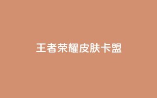 王者荣耀皮肤卡盟 - 王者荣耀新手皮肤购买攻略与推荐!