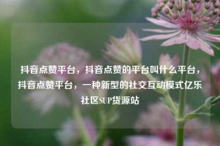 抖音点赞平台，抖音点赞的平台叫什么平台，抖音点赞平台，一种新型的社交互动模式亿乐社区SUP货源站
