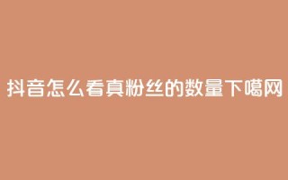 抖音怎么看真粉丝的数量