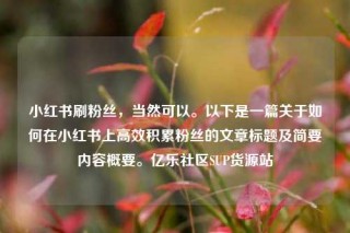 小红书刷粉丝，当然可以。以下是一篇关于如何在小红书上高效积累粉丝的文章标题及简要内容概要。亿乐社区SUP货源站