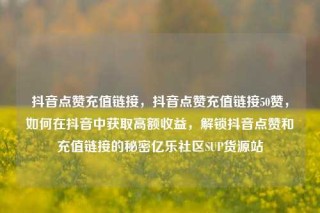 抖音点赞充值链接，抖音点赞充值链接50赞，如何在抖音中获取高额收益，解锁抖音点赞和充值链接的秘密亿乐社区SUP货源站