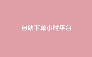 自助下单24小时平台 - 24小时自助下单平台：简便操作，全天候服务!