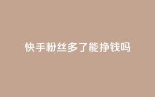 快手粉丝多了能挣钱吗 - 快手粉丝增加后如何实现盈利!