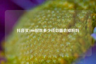 抖音买1000粉丝多少钱后面会掉粉吗