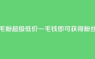 低价Ks一毛1000粉(超级低价，一毛钱即可获得1000粉丝)