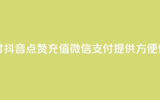 抖音点赞充值微信支付 - 抖音点赞充值微信支付：提供方便快捷的充值方式~
