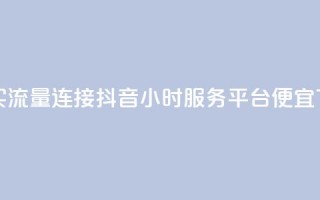快手买流量连接 - 抖音24小时服务平台便宜