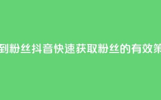 抖音如何快速达到1000粉丝 - 抖音快速获取1000粉丝的有效策略与技巧~