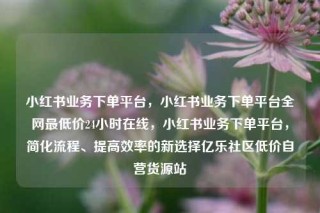 小红书业务下单平台，小红书业务下单平台全网最低价24小时在线，小红书业务下单平台，简化流程、提高效率的新选择亿乐社区低价自营货源站