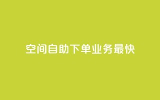 空间自助下单业务最快,快手业务全网最低价 - 粉丝下单链接 - ks保不掉粉丝