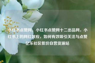 小红书点赞网，小红书点赞网十二出品网，小红书上的网红效应，如何有效吸引关注与点赞亿乐社区低价自营货源站
