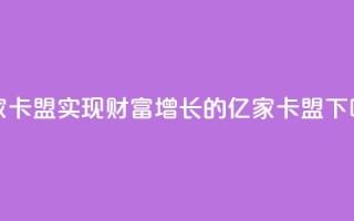 亿家卡盟(实现财富增长的亿家卡盟)