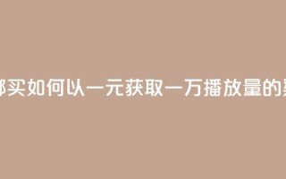 1块钱1w播放量在哪买 - 如何以一元获取一万播放量的渠道揭秘!