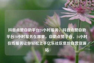 抖音点赞自助平台24小时服务，抖音点赞自助平台24小时服务在哪里，自助点赞平台，24小时在线服务让你轻松上手亿乐社区低价自营货源站