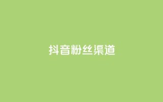 抖音粉丝渠道 - 如何通过抖音提高粉丝获取渠道的效果！