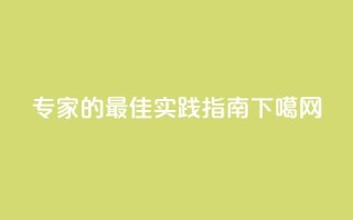 F949797：SEO专家的最佳实践指南