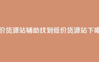 低价货源站辅助(找到低价货源站)
