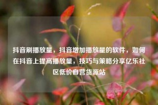 抖音刷播放量，抖音增加播放量的软件，如何在抖音上提高播放量，技巧与策略分享亿乐社区低价自营货源站