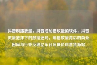 抖音刷播放量，抖音增加播放量的软件，抖音流量泡沫下的数据迷局，刷播放量背后的商业困局与行业反思亿乐社区低价自营货源站