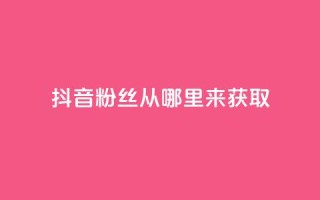 抖音粉丝从哪里来获取,抖音24小时免费下单粉丝 - 点快手号软件 - 51卡盟平台