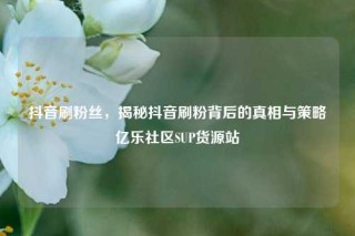抖音刷粉丝，揭秘抖音刷粉背后的真相与策略亿乐社区SUP货源站