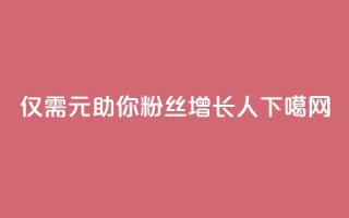 仅需1元助你粉丝增长1000人