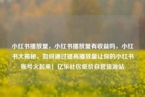 小红书播放量，小红书播放量有收益吗，小红书大揭秘，如何通过提高播放量让你的小红书账号火起来！亿乐社区低价自营货源站