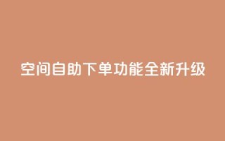 qq空间自助下单功能全新升级