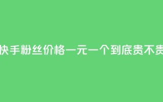 快手粉丝价格一元一个到底贵不贵