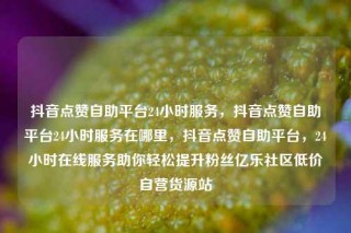 抖音点赞自助平台24小时服务，抖音点赞自助平台24小时服务在哪里，抖音点赞自助平台，24小时在线服务助你轻松提升粉丝亿乐社区低价自营货源站