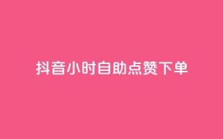抖音24小时自助点赞下单 - 抖音24小时快速自助点赞服务，轻松点亮你的视频~
