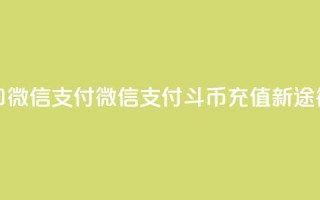 斗币充值入口微信支付 - 微信支付斗币充值新途径解析!