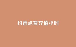 抖音点赞充值24小时,免费获赞自动下单平台网站 - dy业务下单24小时最低价 - Ks作品点赞