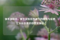 快手买粉丝，快手买粉丝热潮下的隐忧与反思亿乐社区低价自营货源站