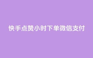 快手点赞24小时下单微信支付,雷神24小时自动下单平台 - 抖音评论业务 - 1元3000粉丝不掉粉丝