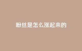粉丝是怎么涨起来的,ks免费业务平台便宜 - 王者主页秒赞网 - 快手流量推广网站