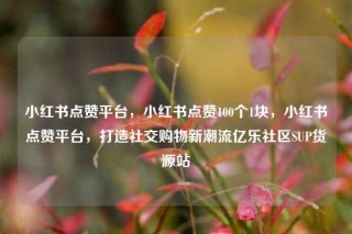 小红书点赞平台，小红书点赞100个1块，小红书点赞平台，打造社交购物新潮流亿乐社区SUP货源站