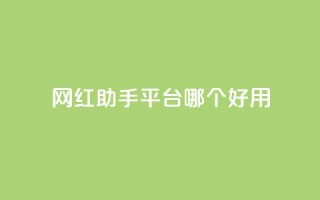 网红助手平台哪个好用,彩虹云自助下单商城 - KS低价真人双击 - 斗鱼主播人气怎么提高