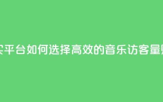 qq音乐访客量购买平台 - 如何选择高效的qq音乐访客量购买平台!