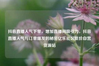 抖音直播人气下单，增加直播间吸引力，抖音直播人气与订单爆发的秘密亿乐社区低价自营货源站