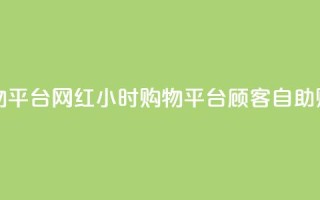 网红24小时自助购物平台 - 网红24小时购物平台：顾客自助购物新体验!