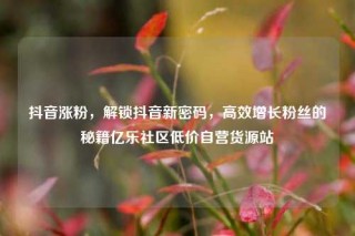 抖音涨粉，解锁抖音新密码，高效增长粉丝的秘籍亿乐社区低价自营货源站