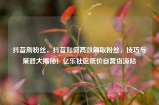 抖音刷粉丝，抖音如何高效刷取粉丝，技巧与策略大揭秘！亿乐社区低价自营货源站