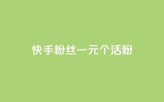 快手粉丝一元1000个活粉,快手免费涨关注 - QQ空间访客业务 - qq黄钻便宜充值网站