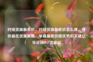 对接货源最低价，对接货源最低价怎么算，寻找最优货源策略，掌握最低价格优势的关键亿乐社区SUP货源站